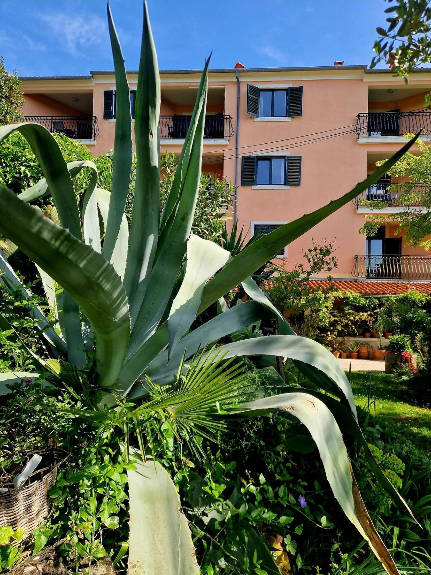Villa Mareonda Rovinj Exterior photo